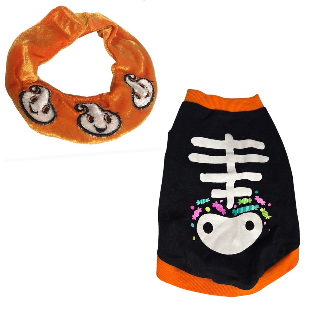 Halloween Skeleton Small Dog Pet Tee Costume & Collar READ